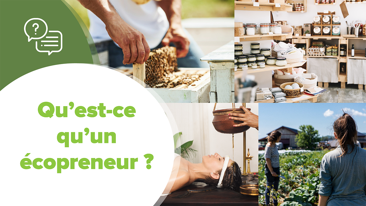 Qu’est ce qu’un Ecopreneur, Qu’est ce qu’un Ecopreneur ?