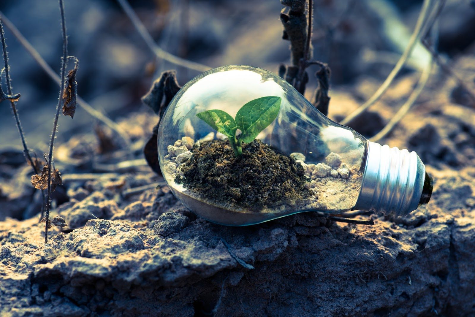 protection-environnement-transition-energetique formateurs d'entrepreneurs, A propos de vos formateurs