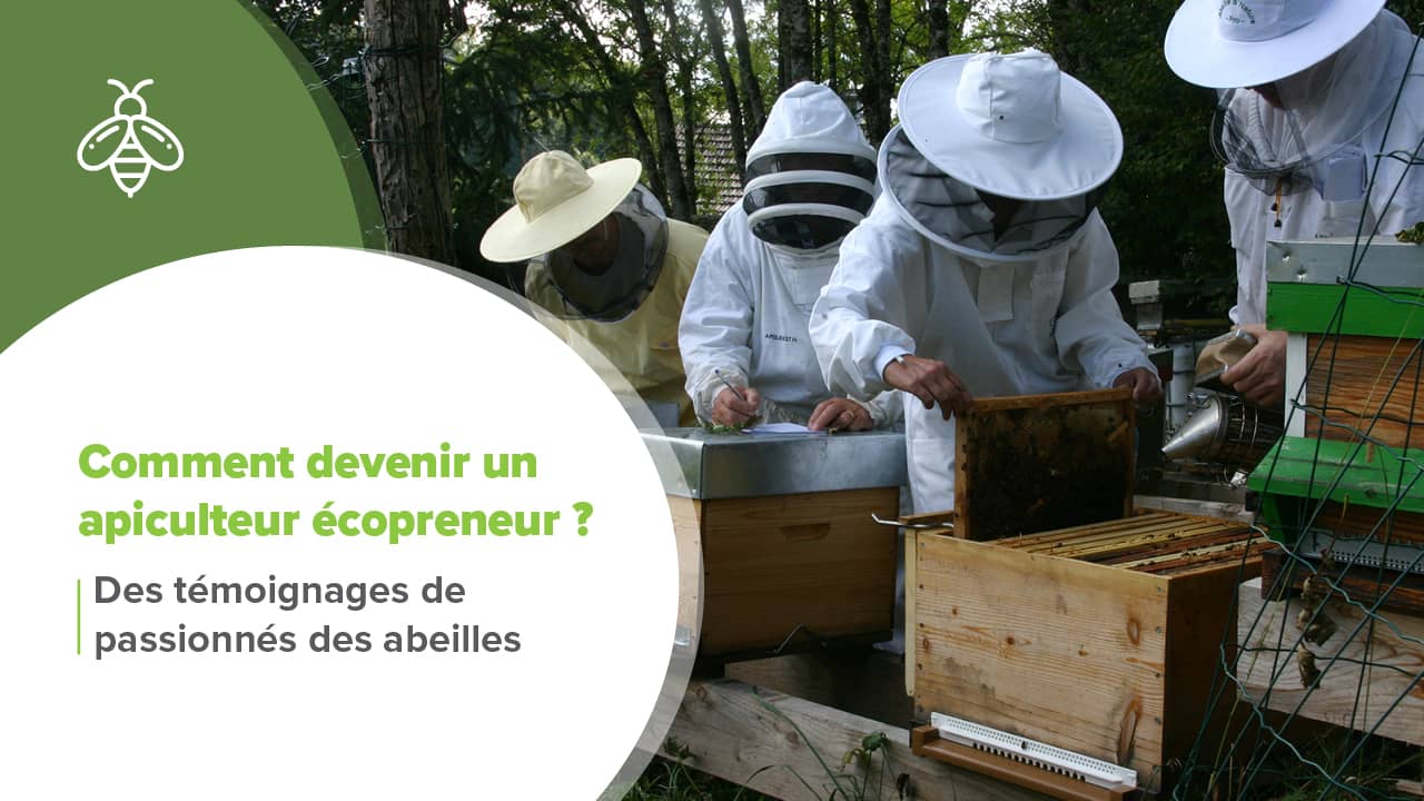 devenir apiculteur, Comment devenir un apiculteur écopreneur ? Des témoignages de passionnés des abeilles