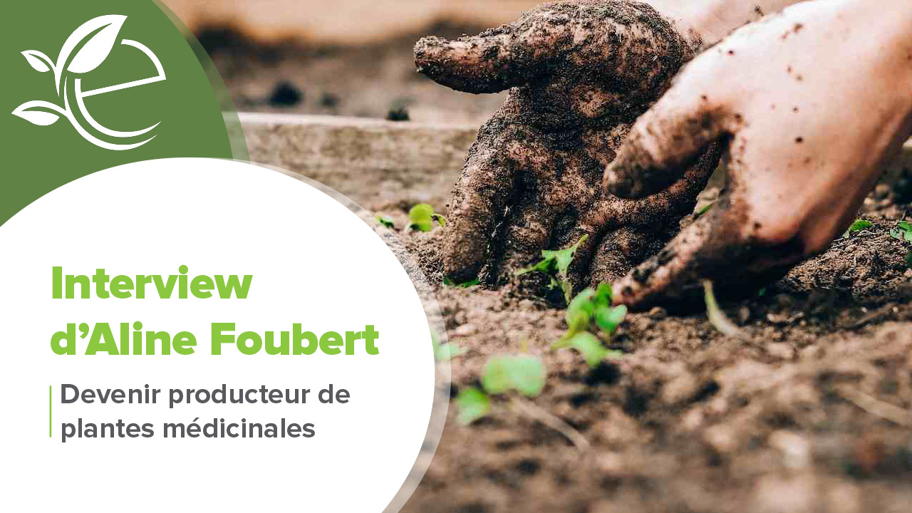 producteur de plantes médicinales, Comment devenir producteur de plantes médicinales : interview d’Aline Foubert
