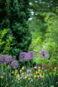 jardinier écologique, Comment devenir jardinier écologique : un métier pour changer la vision du jardin