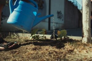 jardinier écologique, Comment devenir jardinier écologique : un métier pour changer la vision du jardin