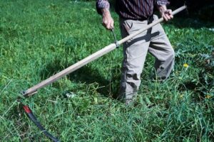 jardinier écologique, Comment devenir jardinier écologique : un métier pour changer la vision du jardin