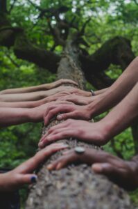 bain de forêt, Sylvothérapie : zoom sur le bain de forêt et cette opportunité de reconversion