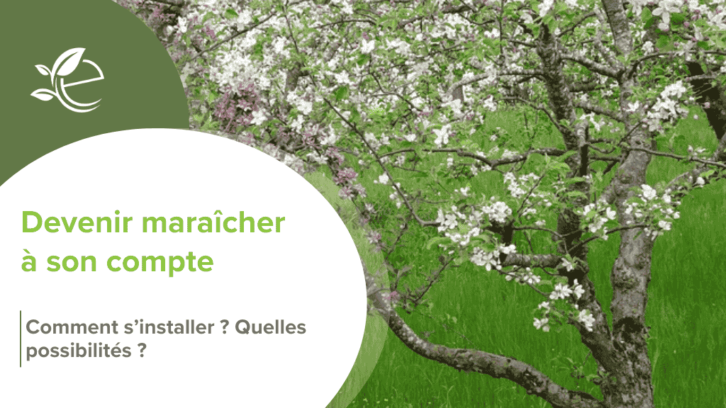 Devenir maraîcher, Comment devenir maraîcher ? Les clés d’une reconversion réussie