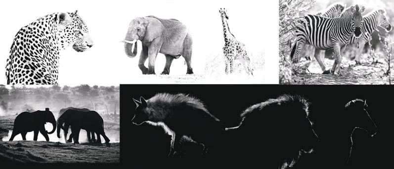 cadeaux &eacute;thiques et &eacute;cologiques, Cadeaux &eacute;thiques et &eacute;cologiques : le catalogue des &eacute;copreneurs