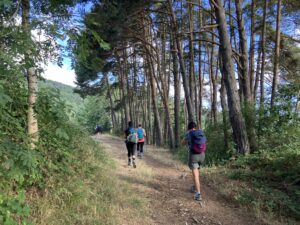 cadeaux éthiques et écologiques, Cadeaux éthiques et écologiques : le catalogue des écopreneurs 2025