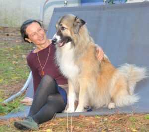 cadeaux &eacute;thiques et &eacute;cologiques, Cadeaux &eacute;thiques et &eacute;cologiques : le catalogue des &eacute;copreneurs