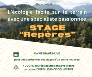 cadeaux éthiques et écologiques, Cadeaux éthiques et écologiques : le catalogue des écopreneurs 2024