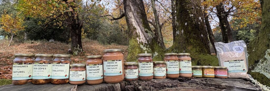 cadeaux &eacute;thiques et &eacute;cologiques, Cadeaux &eacute;thiques et &eacute;cologiques : le catalogue des &eacute;copreneurs