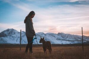 pet sitter, Devenir Pet Sitter : Un métier au service des animaux et de votre équilibre de vie