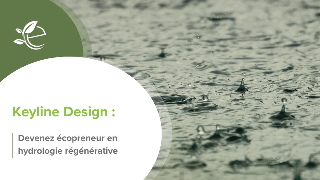 keyline design, Devenez designer en Keyline Design