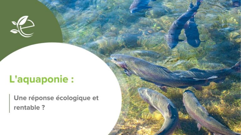 Écopreneur, Accueil