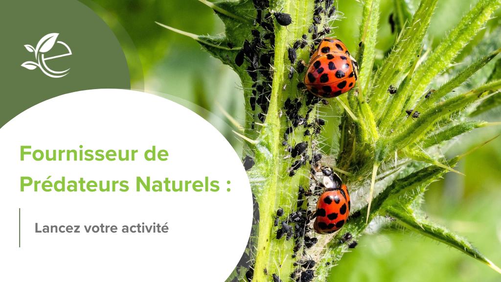 régénération agricole, Fournir des prédateurs naturels : une niche entrepreneuriale au service de la régénération agricole