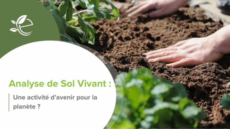 Écopreneur, Accueil