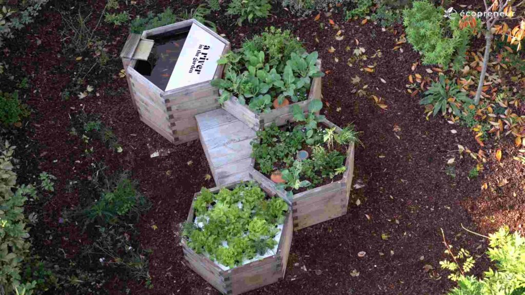 aquaponie, Retrouver le sens grâce à l’aquaponie : l’histoire inspirante d’une reconversion