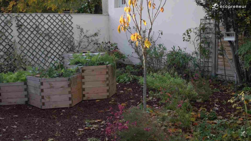 aquaponie, Retrouver le sens grâce à l’aquaponie : l’histoire inspirante d’une reconversion