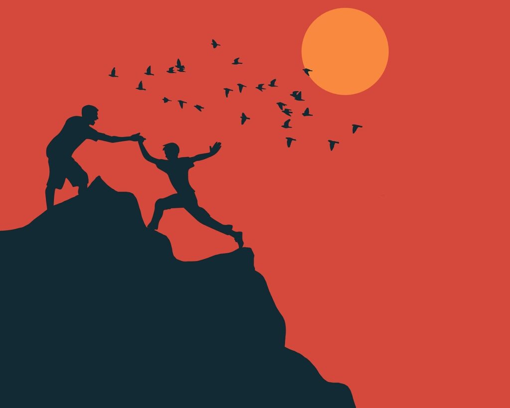 niche écologique, Comment choisir une niche écologique alignée avec ses valeurs ?