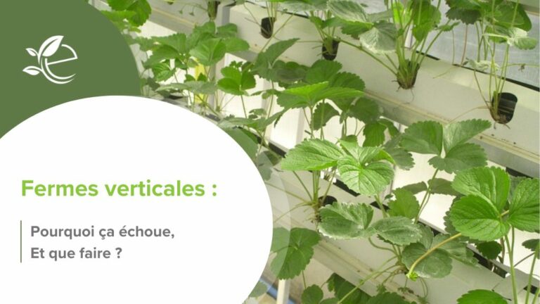 Écopreneur, Accueil