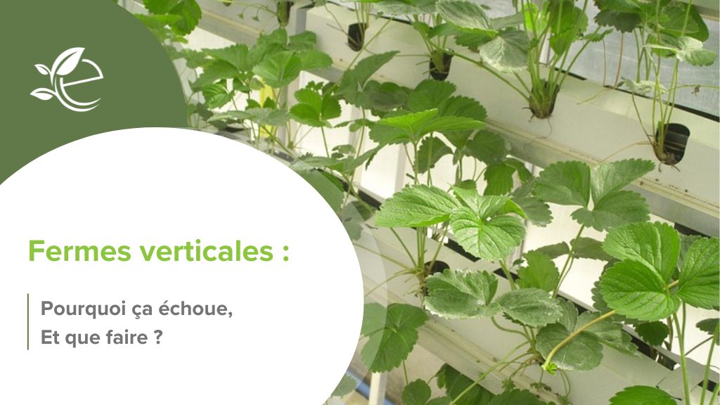 ferme verticale, Les fermes verticales face à leurs limites : que peut-on en apprendre pour entreprendre autrement ?
