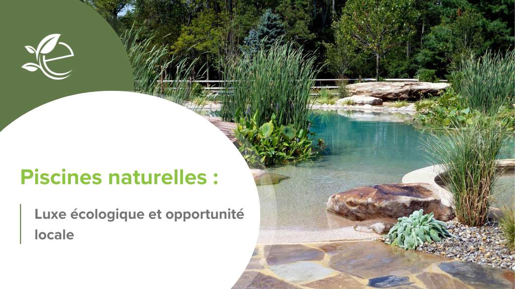 piscine naturelle, Piscines naturelles et lagons écologiques : luxe, biodiversité et opportunités pour les écopreneurs