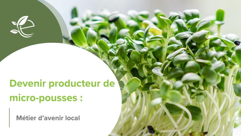 micro pousse, Produire des micro-pousses : un métier vivant, local, et plein de sens