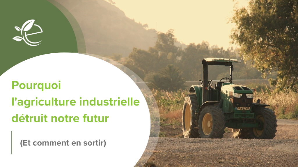 agriculture industrielle, Agriculture industrielle : pourquoi ce mod&egrave;le d&eacute;truit notre avenir