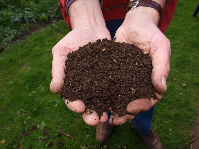 th&eacute; de compost, Comment devenir sp&eacute;cialiste du th&eacute; de compost