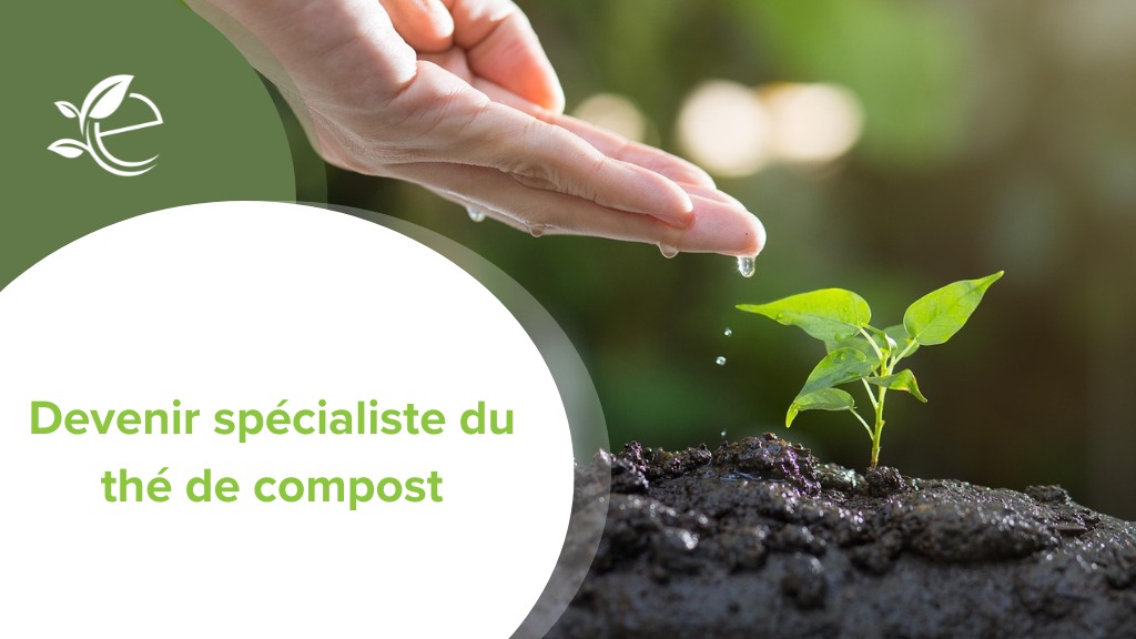 th&eacute; de compost, Comment devenir sp&eacute;cialiste du th&eacute; de compost