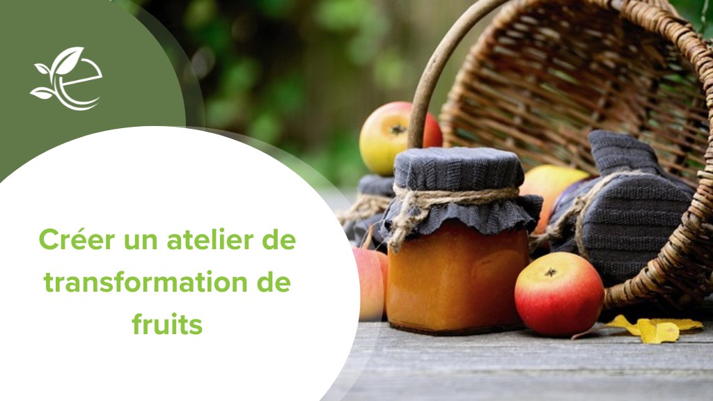transformateur de fruits, Devenir artisan transformateur de fruits : guide complet pour créer votre atelier