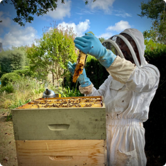 cadeaux &eacute;thiques et &eacute;cologiques, Cadeaux &eacute;thiques et &eacute;cologiques : le catalogue des &eacute;copreneurs