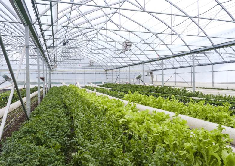 agriculture, Comment un Qu&eacute;b&eacute;cois sans terre a r&eacute;invent&eacute; l&rsquo;agriculture